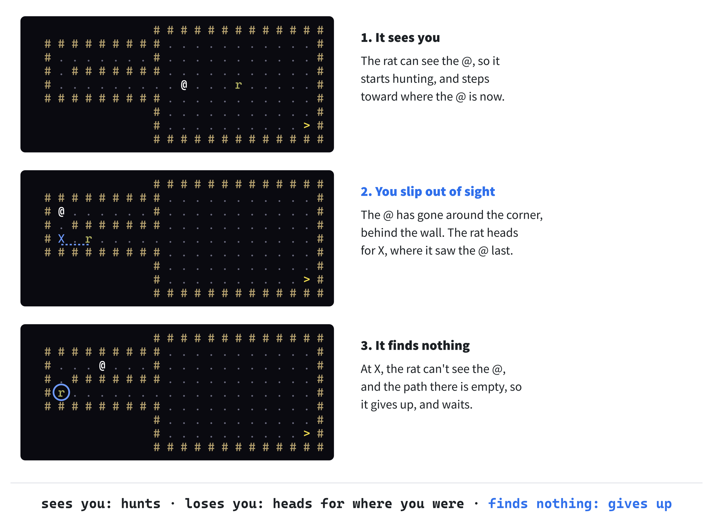 A hunt, and how it ends. First, the rat notices the @, and starts hunting it. Then the @ slips around the corner, out of sight, and the rat heads for X, where it saw the @ last. When it gets there, the @ is nowhere to be seen, so the rat gives up, and waits where it is.