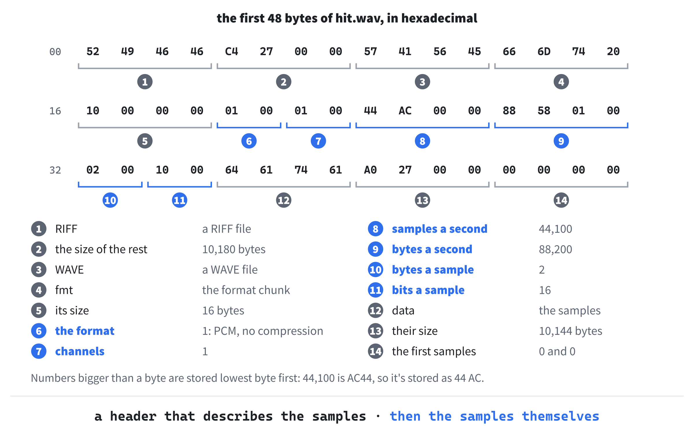 The start of hit.wav, the first 48 of its 10,188 bytes, in hexadecimal. The chunks' names are there as letters, RIFF, WAVE, fmt, and data, and the format chunk's numbers, in blue, say how the samples are stored: plain PCM, one channel, 44,100 samples a second, two bytes each. Then the samples begin.