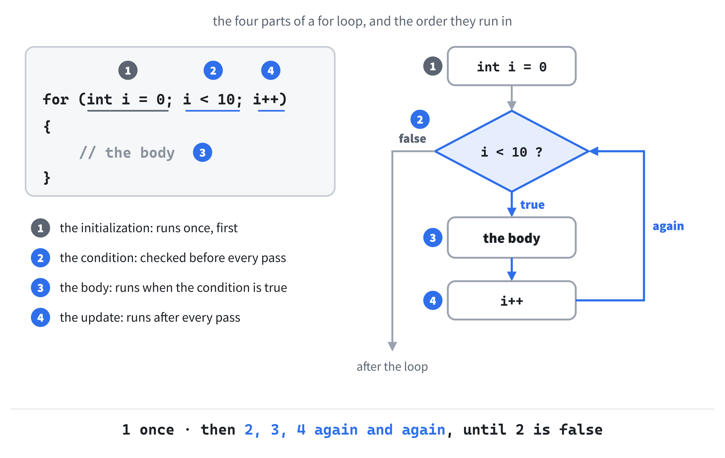 The initialization runs once. After that, the condition, the body, and the update take turns, again and again, until the condition is false.