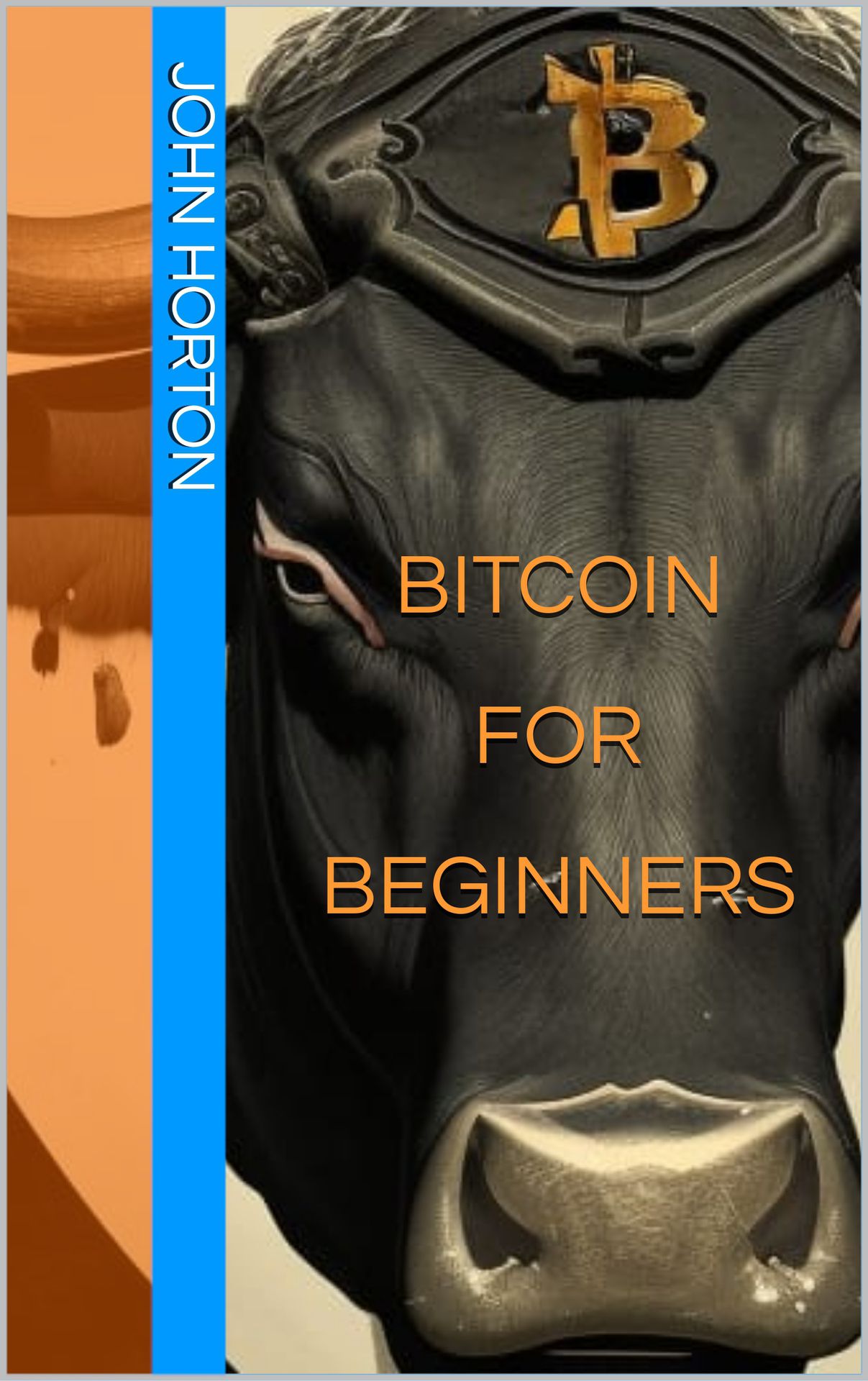 bitcoin for beginners